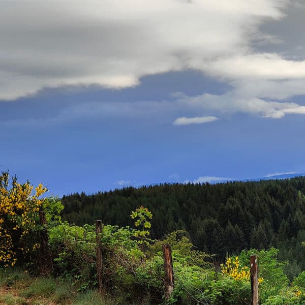 Vue sur la vallée par temps orageux